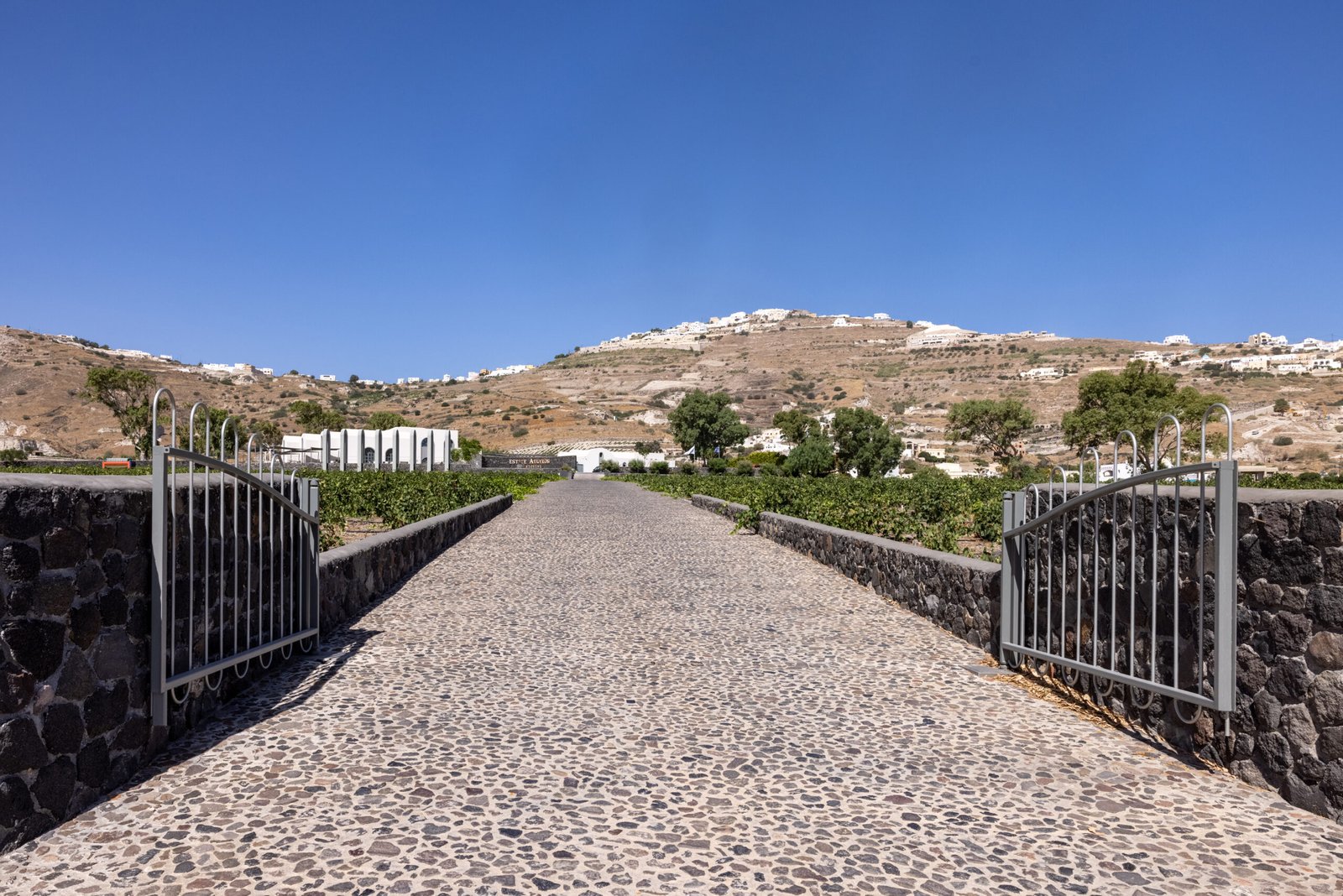 volcanic-vibe-travel.gr
